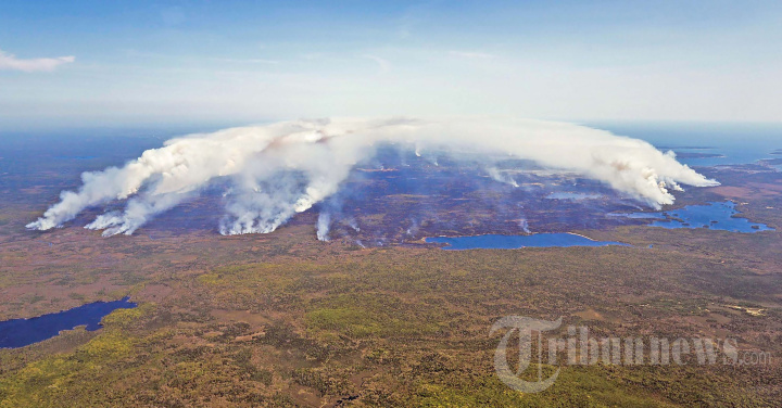 Potret Ngeri Kebakaran Hutan di Kanada