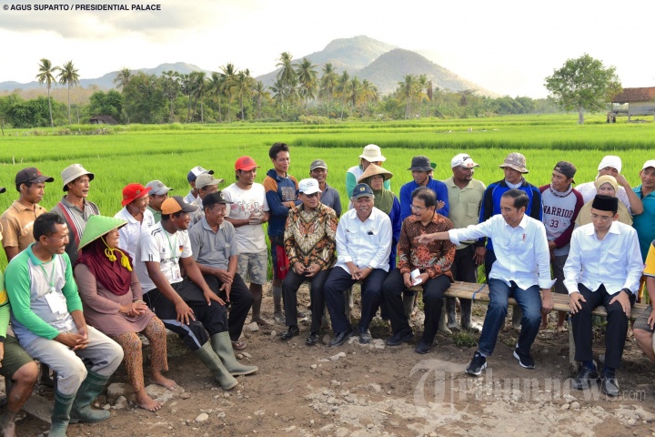 Presiden Joko Widodo Dialog dengan Petani di Kab Sumbawa LOMBOK