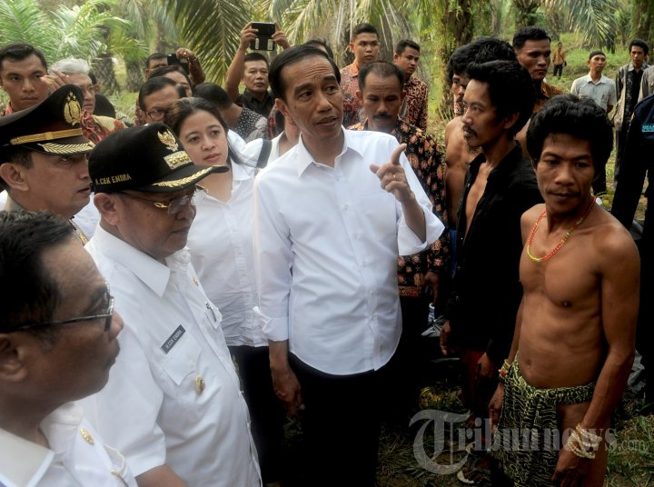 Presiden Jokowi Kunjungi Suku Anak Dalam