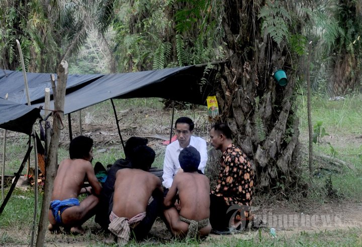 Presiden Jokowi Kunjungi Suku Anak Dalam