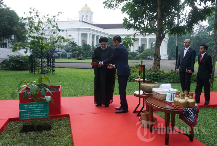 Presiden Jokowi Tanam Pohon Bersama Presiden Iran