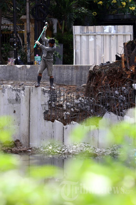 Revitalisasi Anak Kali Ciliwung Cegah Banjir