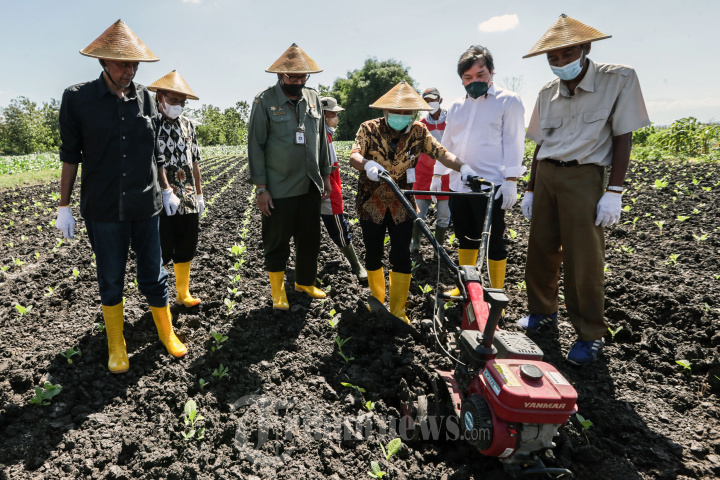 Sampoerna Jalankan Program Kemitraan Dengan Petani Tambakau