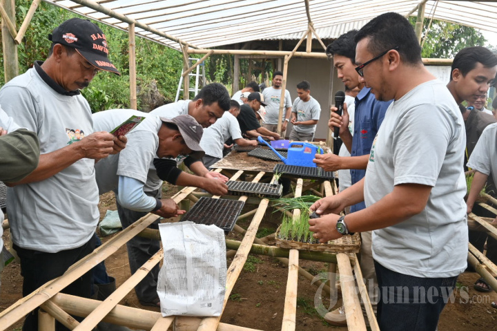 Sekolah Lapang untuk Petani