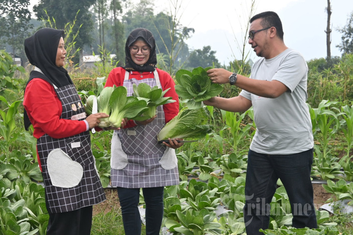 Sekolah Lapang untuk Petani