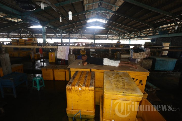 Sektor Perikanan Muara Baru Lumpuh Akibat Mogok Massal