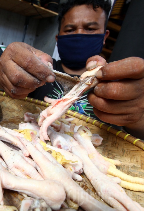 Sepatu Ceker Ayam dari Bandung Tembus Mancanegara