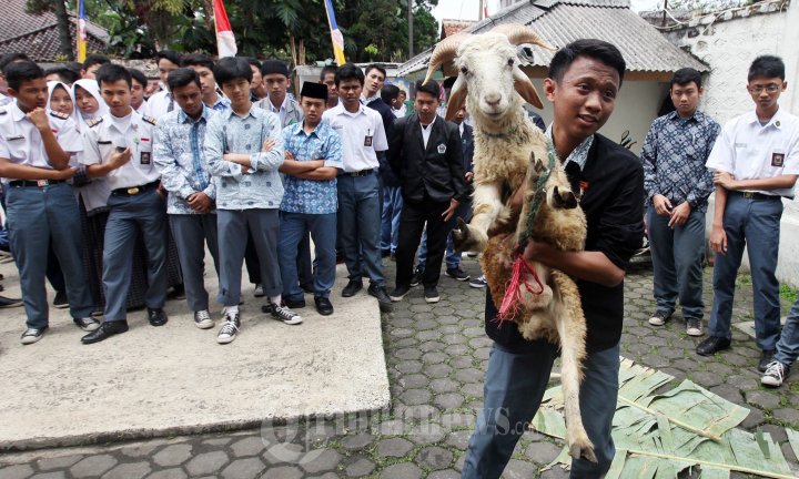 Siswa Praktekkan Proses Sembelih Hewan Kurban