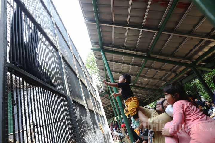 Taman Margasatwa Ragunan Diserbu Wisatawan