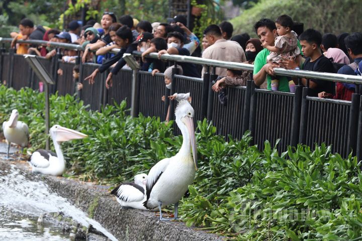 Taman Margasatwa Ragunan Diserbu Wisatawan