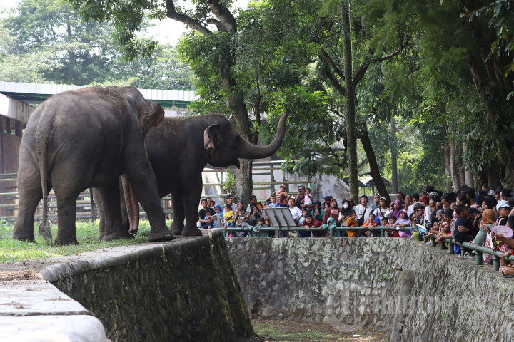 Taman Margasatwa Ragunan Diserbu Wisatawan