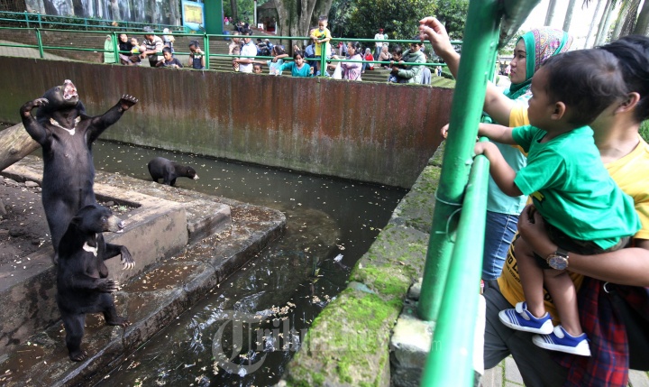 Tempat Wisata Kebun Binatang Bandung
