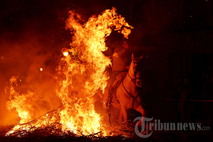 Tradisi Menyucikan Kuda dengan Bara Api di Spanyol