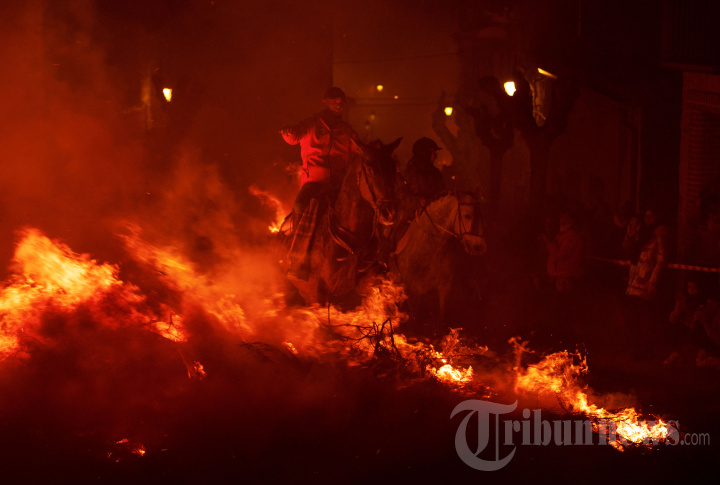 Tradisi Menyucikan Kuda dengan Bara Api di Spanyol