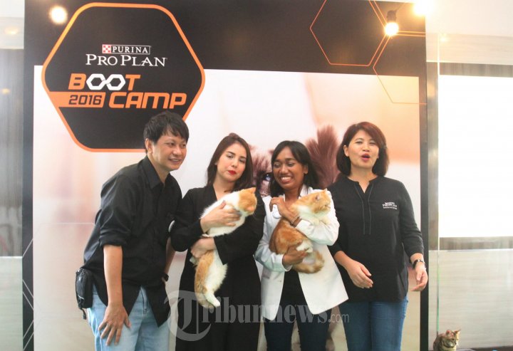 Tya Ariestya di Peluncuran ProPlan Makanan Kucing dan Anjing