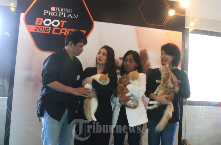 Tya Ariestya di Peluncuran ProPlan Makanan Kucing dan Anjing