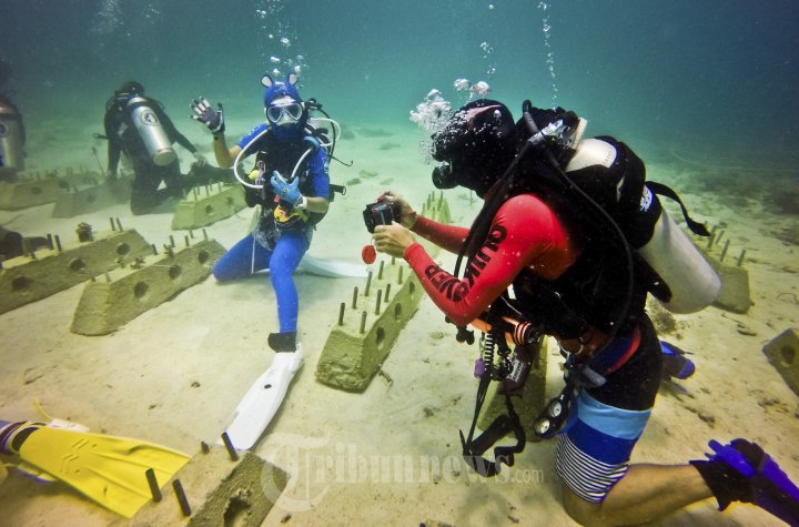 Upacara HUT RI ke-70 Bawah Laut Aceh
