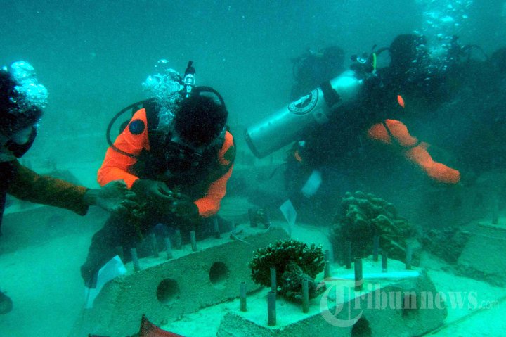 Upacara Penanaman Terumbu Karang di Aceh