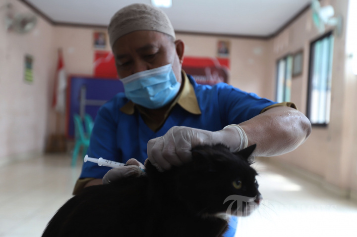 Vaksin Rabies Gratis untuk Warga Cipinang Muara