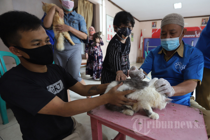 Vaksin Rabies Gratis untuk Warga Cipinang Muara