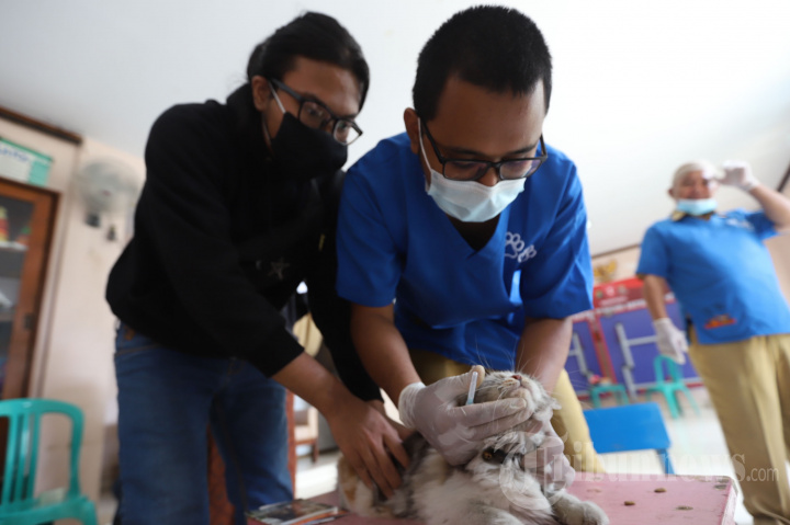 Vaksin Rabies Gratis untuk Warga Cipinang Muara