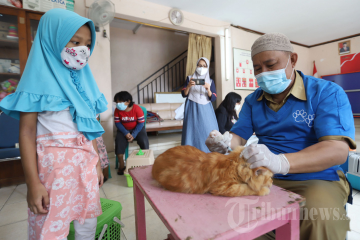 Vaksin Rabies Gratis untuk Warga Cipinang Muara