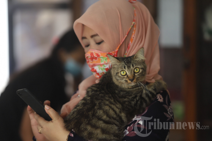 Vaksin Rabies Gratis untuk Warga Cipinang Muara