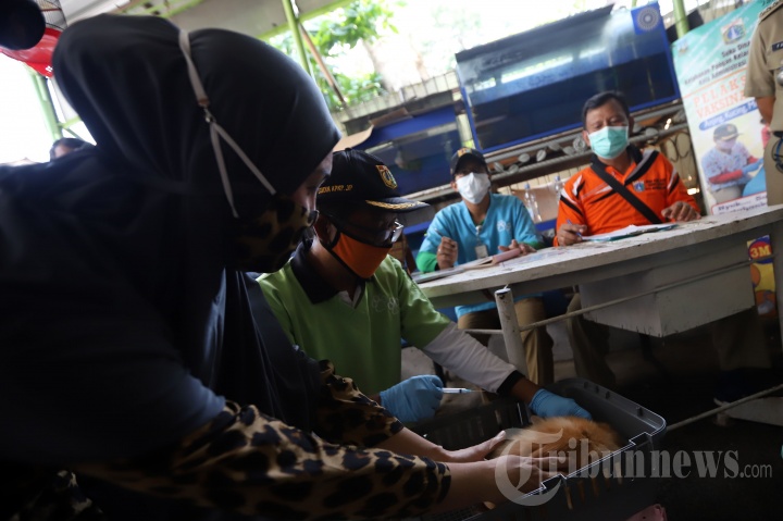 Sudin KPKP Vaksinasi Hewan Peliharaan Warga