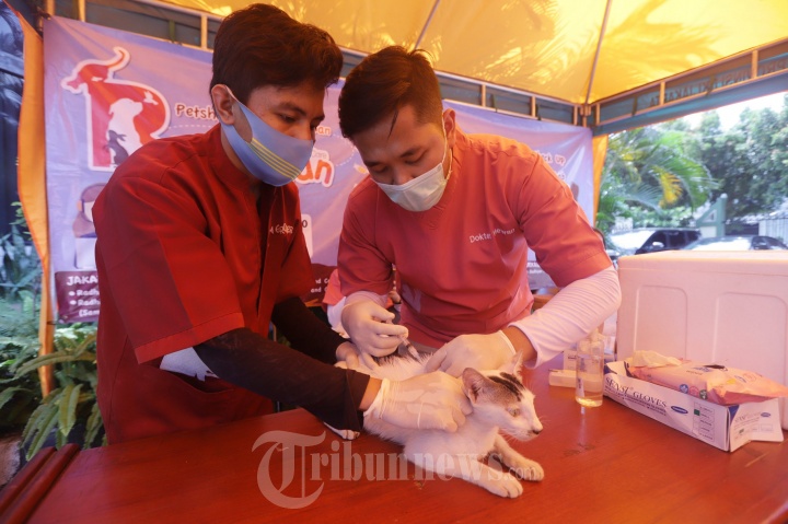 Vaksinasi Rabies Gratis Hewan Peliharaan