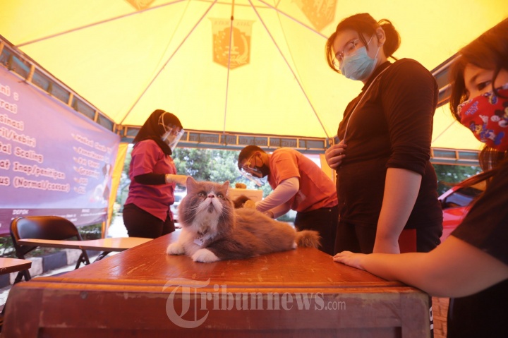 Vaksinasi Rabies Gratis Hewan Peliharaan