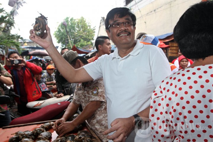 Wagub Djarot Kunjungi Kawasan Petak Sembilan