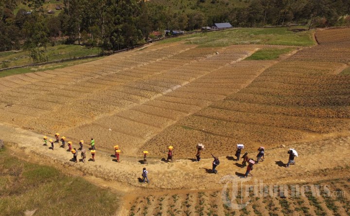 Warga Goa Baliem Membawa Bantuan Makanan