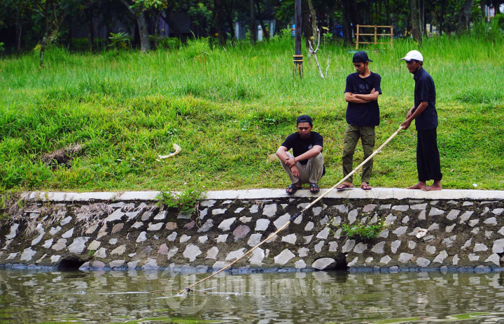 Warga Menjaring dan Memancing Ikan di Danau Tiga Raksa