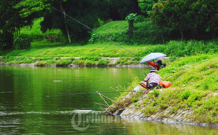 Warga Menjaring dan Memancing Ikan di Danau Tiga Raksa