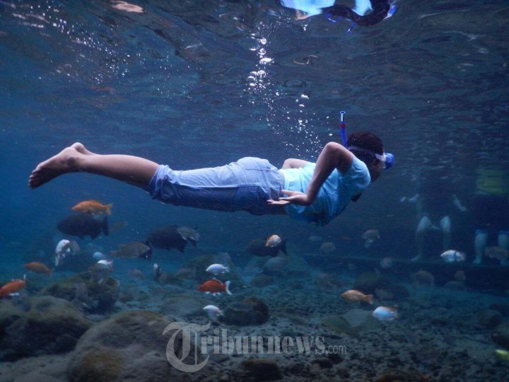 Wisata Bawah Air Umbul Ponggok Klaten