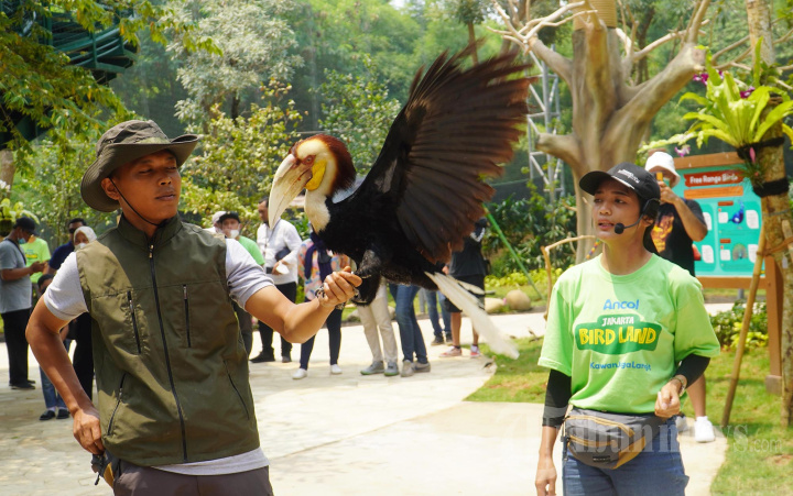 Wisata di Jakarta Bird Land Ancol