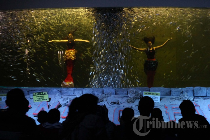 Wisata Ocean Samudra di Taman Impian Jaya Ancol