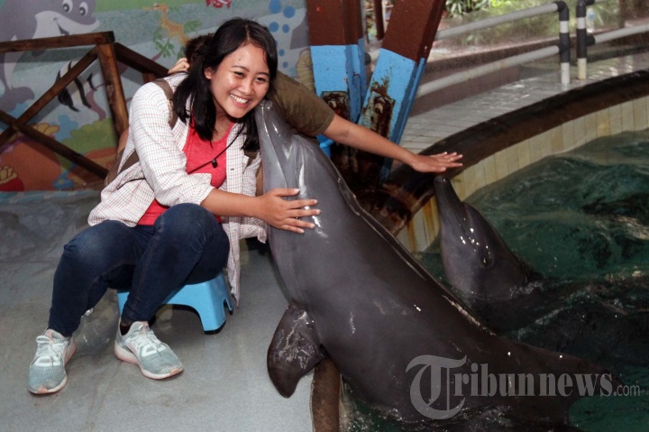 Wisata Ocean Samudra di Taman Impian Jaya Ancol
