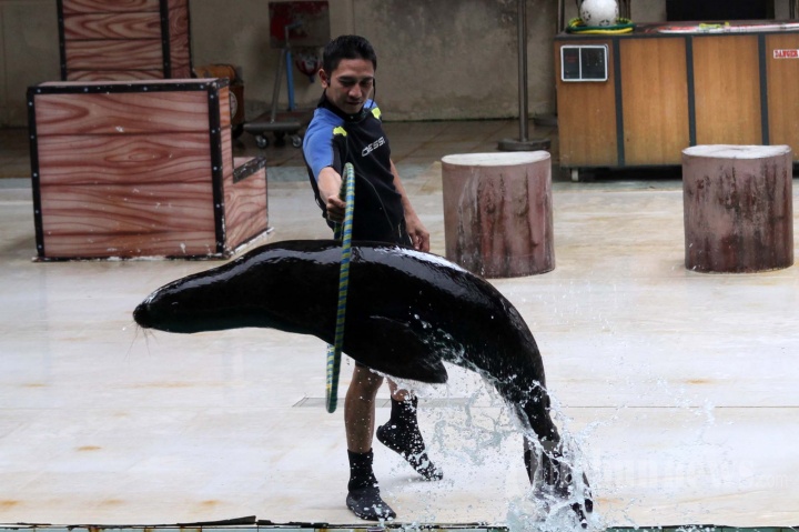 Wisata Ocean Samudra di Taman Impian Jaya Ancol