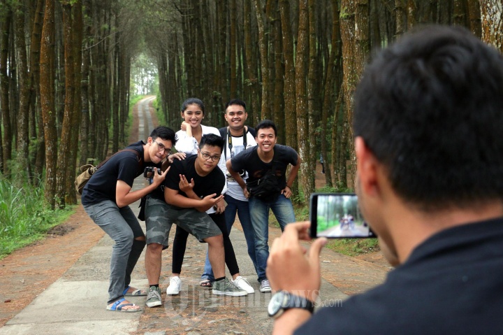 Wisatawan Hutan Pinus Kragilan Pakis Magelang