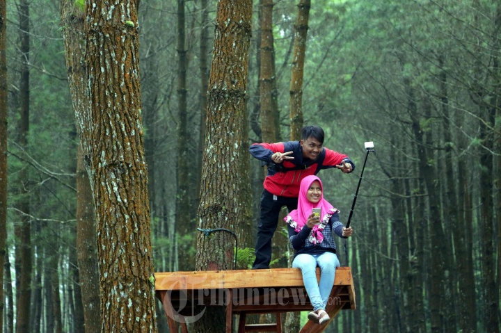 Wisatawan Hutan Pinus Kragilan Pakis Magelang