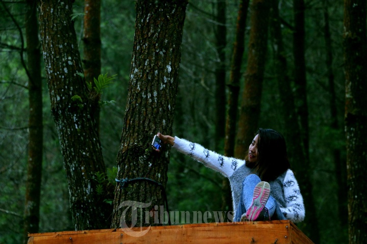 Wisatawan Hutan Pinus Kragilan Pakis Magelang