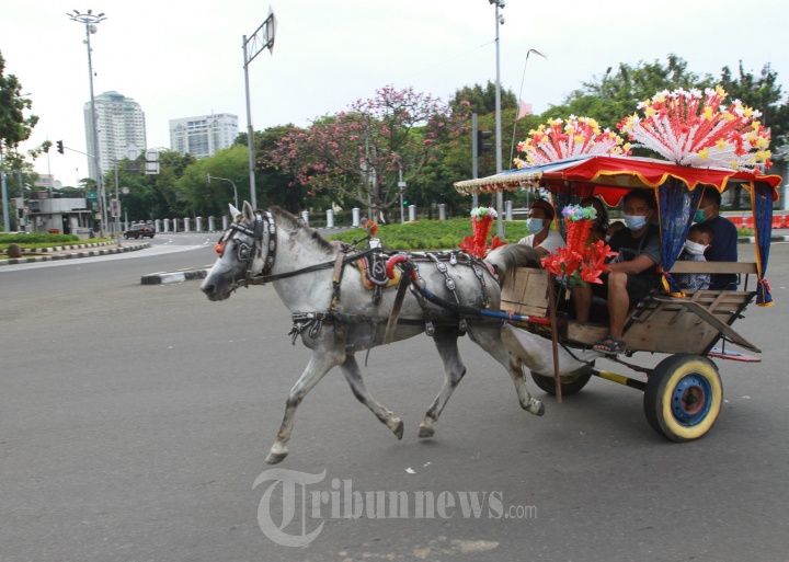 Wisatawan Naik Delman di Monas