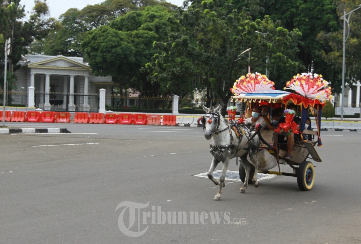 Wisatawan Naik Delman di Monas