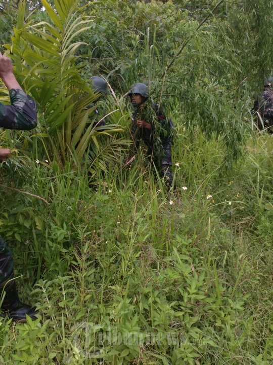 Yonif 431/SSP di Papua terima Pistol Api Rakitan dan Ganja