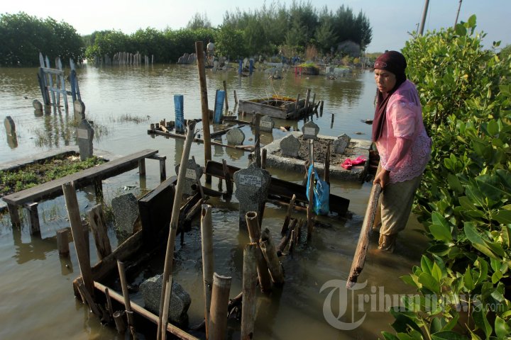 Ziarah Makam Ditengah Banjir Rob di Semarang