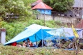 1500 Jiwa Bertahan di Tenda Pengungsian Stadion Manakarra Sulbar