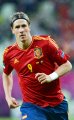 Fernando Torres 