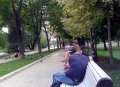 Bermesraan Di Taman Kota Moskow
