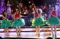 Cherry Belle